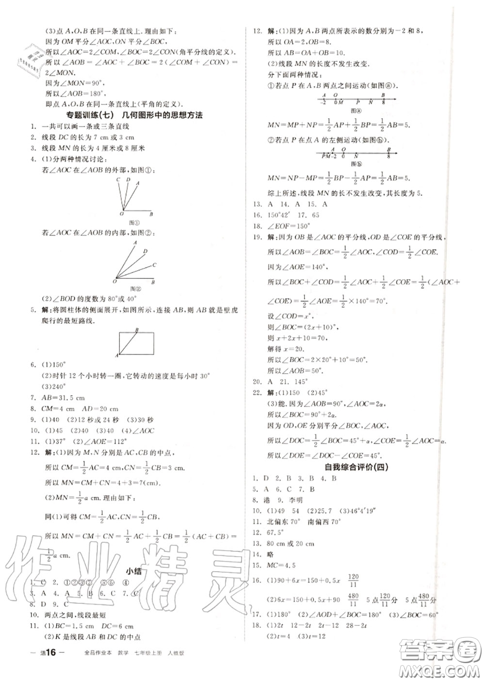 陽光出版社2020秋全品作業(yè)本七年級(jí)數(shù)學(xué)上冊人教版答案