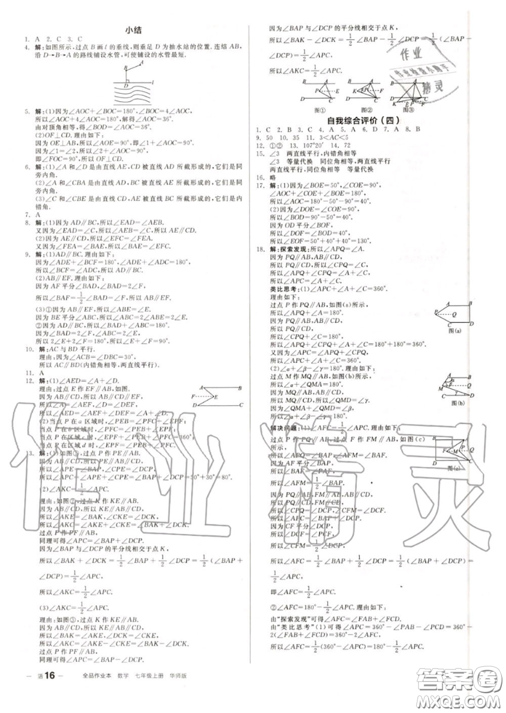 陽光出版社2020秋全品作業(yè)本七年級數(shù)學上冊華師版答案