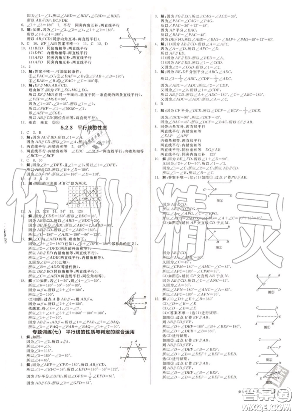 陽光出版社2020秋全品作業(yè)本七年級數(shù)學上冊華師版答案