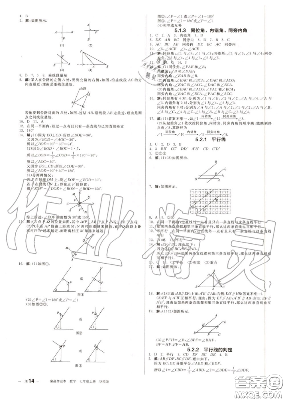 陽光出版社2020秋全品作業(yè)本七年級數(shù)學上冊華師版答案