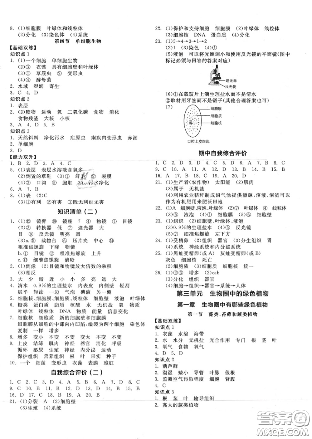 陽(yáng)光出版社2020秋全品作業(yè)本七年級(jí)生物上冊(cè)人教版答案