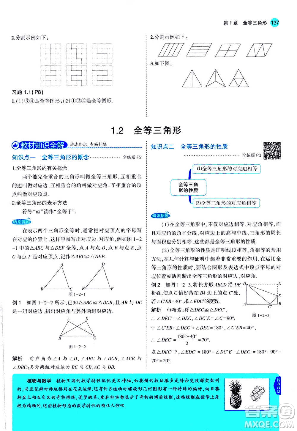 2020秋5年中考3年模擬全練版全解版初中數(shù)學八年級上冊蘇科版參考答案