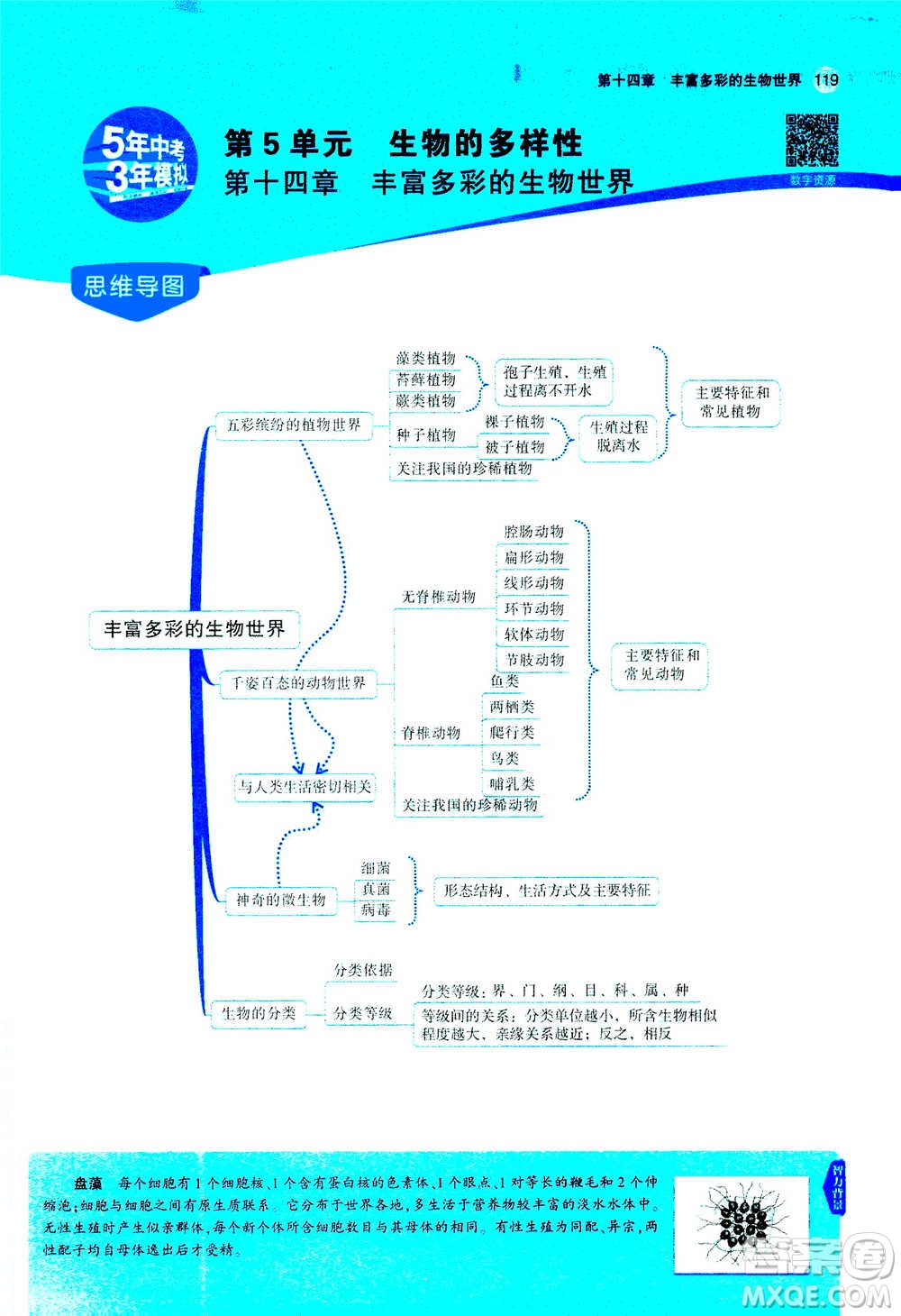 2020秋5年中考3年模擬全練版全解版初中生物八年級(jí)上冊(cè)蘇教版參考答案