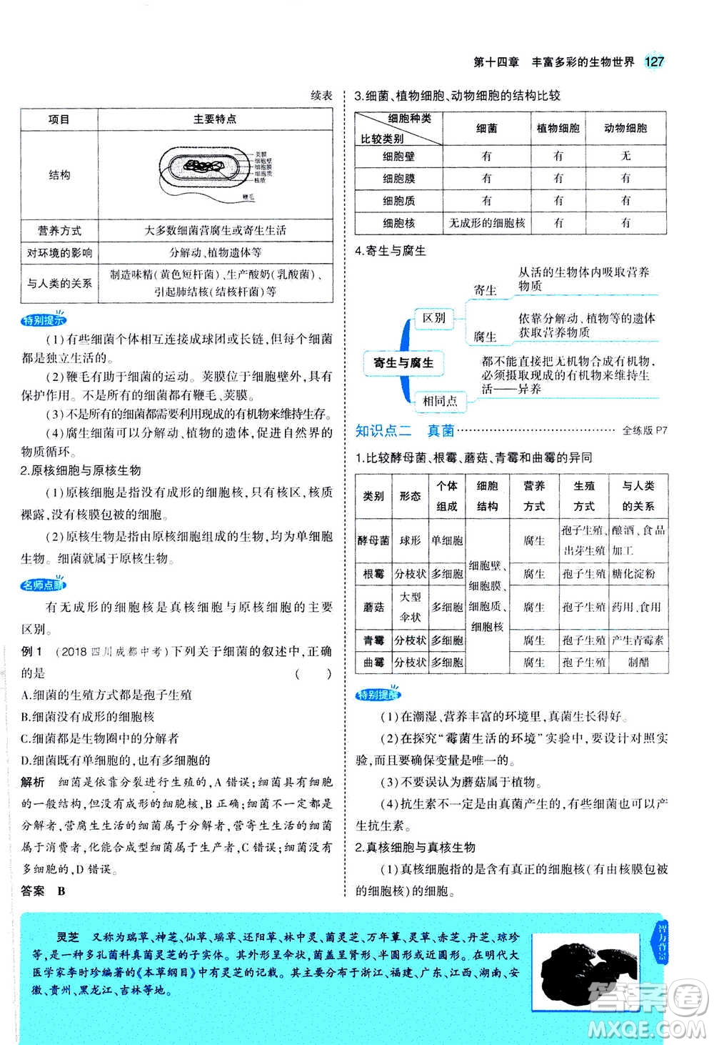 2020秋5年中考3年模擬全練版全解版初中生物八年級(jí)上冊(cè)蘇教版參考答案