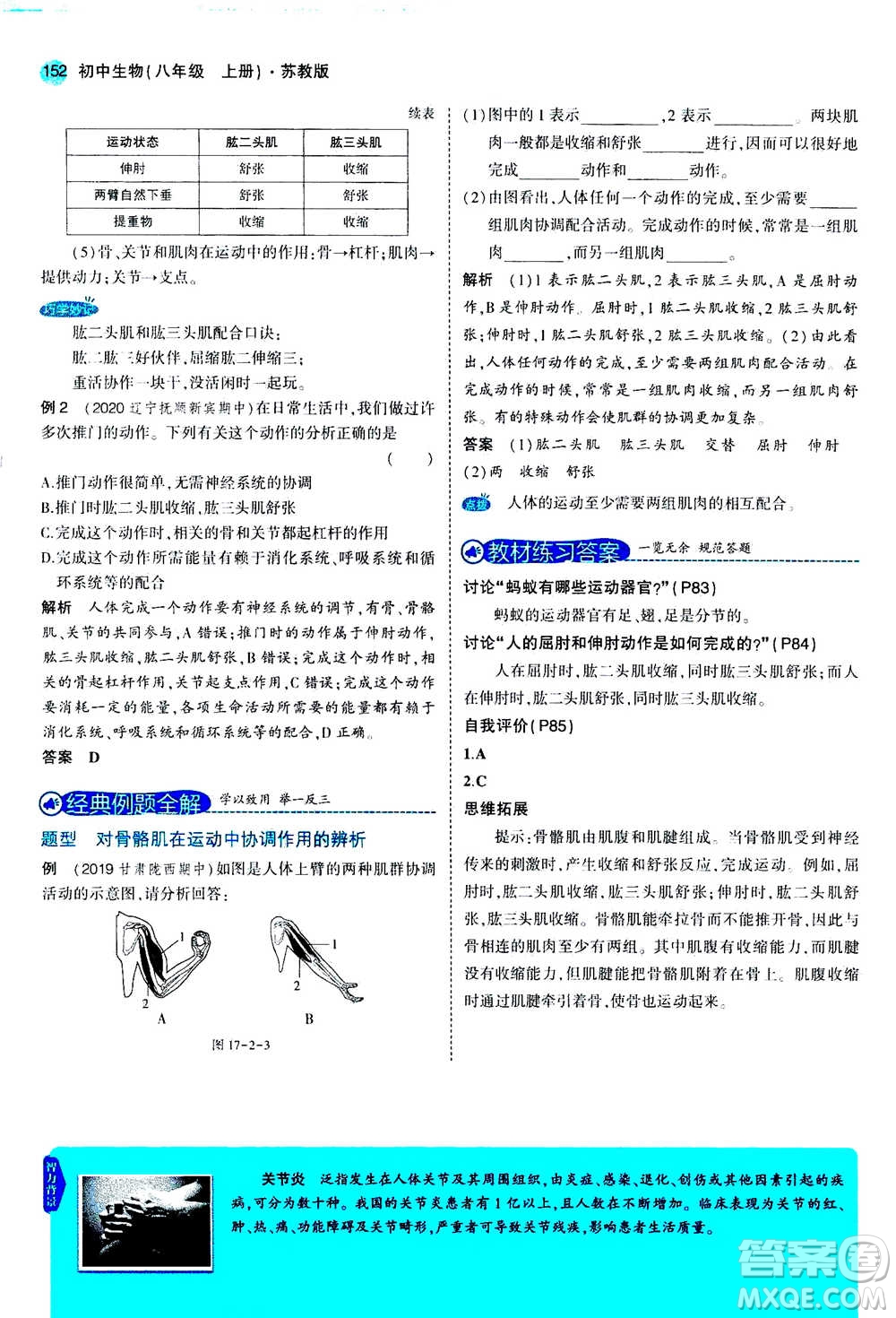 2020秋5年中考3年模擬全練版全解版初中生物八年級(jí)上冊(cè)蘇教版參考答案