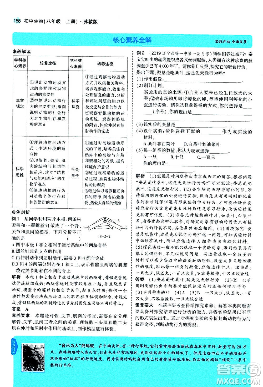 2020秋5年中考3年模擬全練版全解版初中生物八年級(jí)上冊(cè)蘇教版參考答案