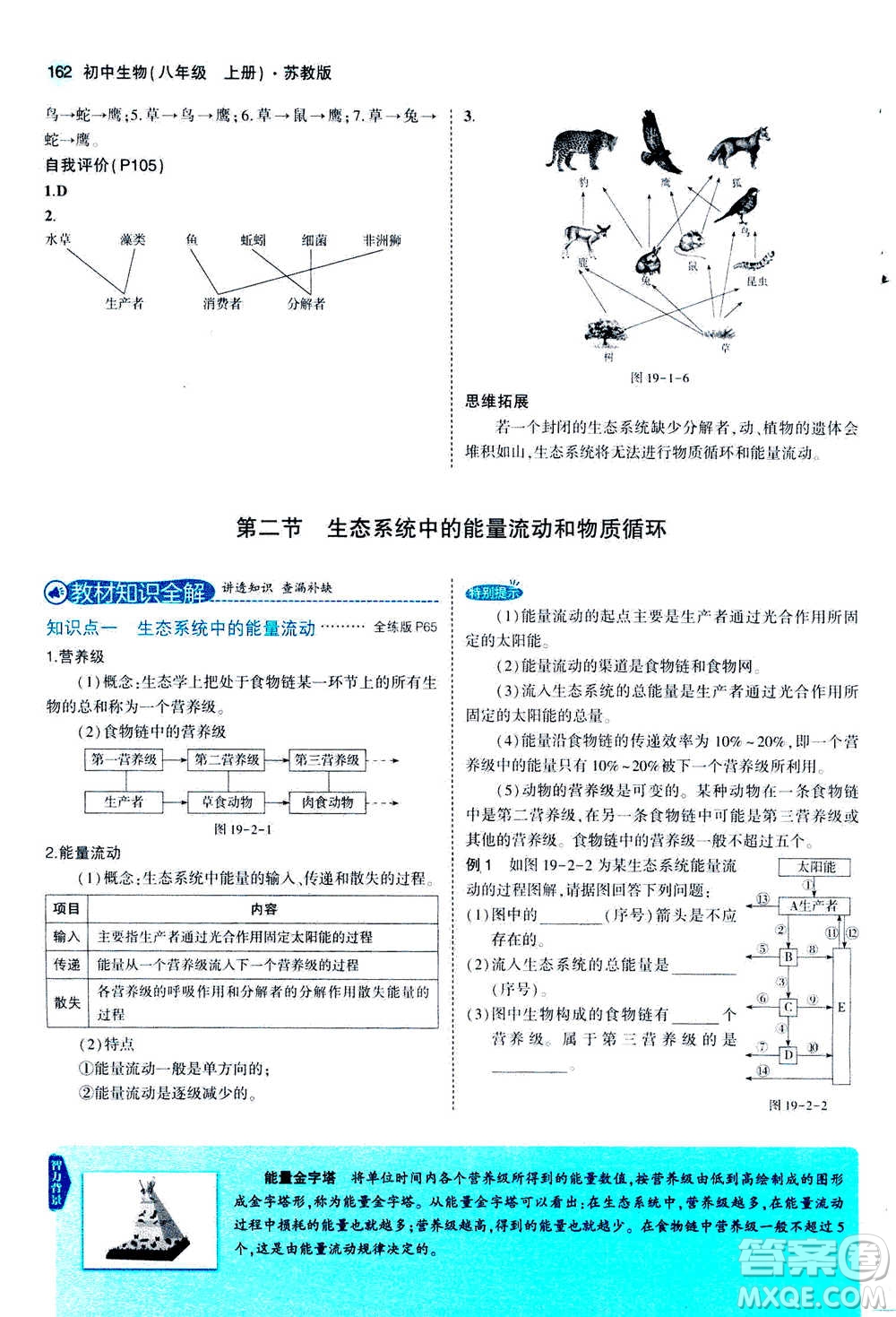 2020秋5年中考3年模擬全練版全解版初中生物八年級(jí)上冊(cè)蘇教版參考答案