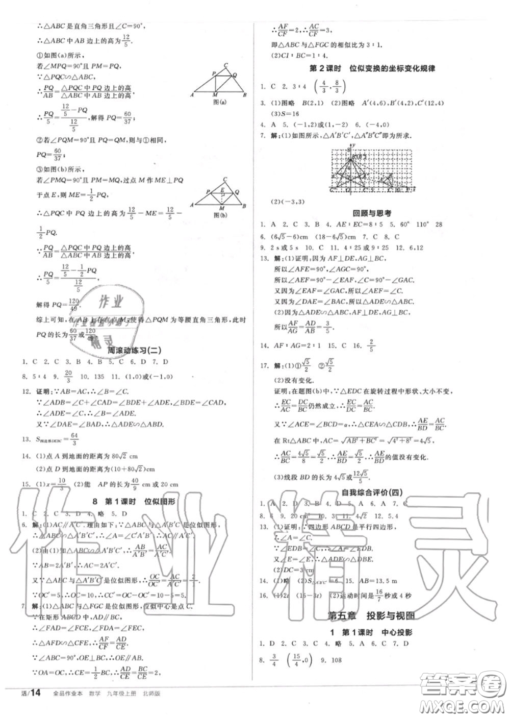 陽光出版社2020秋全品作業(yè)本九年級數(shù)學(xué)上冊北師版答案