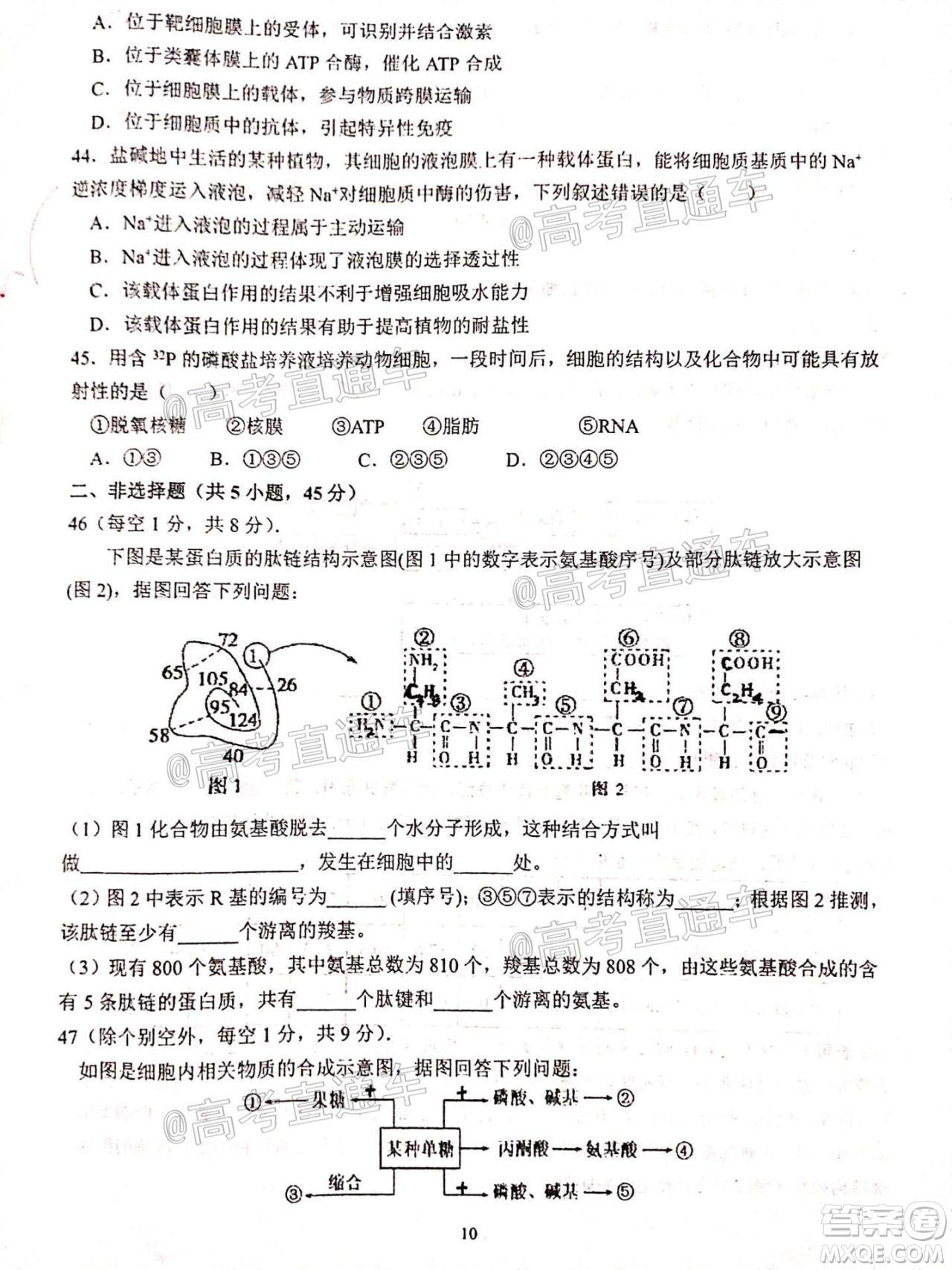 2021屆甘肅天水一中高三第一次檢測考試物理化學(xué)試題及答案