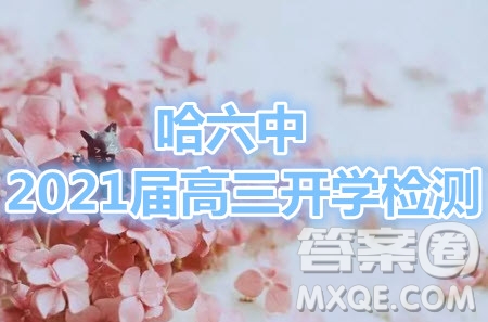 哈爾濱市第六中學(xué)2021屆開學(xué)階段性總結(jié)高三文理數(shù)試題及答案