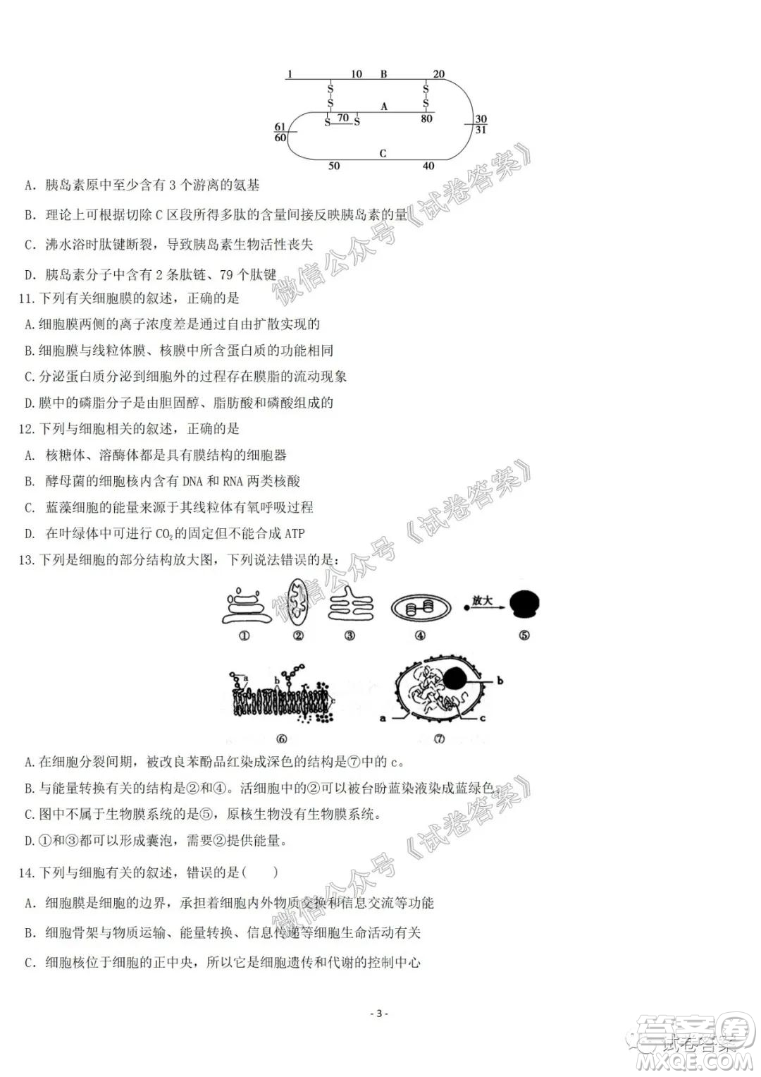 哈爾濱市第六中學2021屆開學階段性總結(jié)高三生物試題及答案