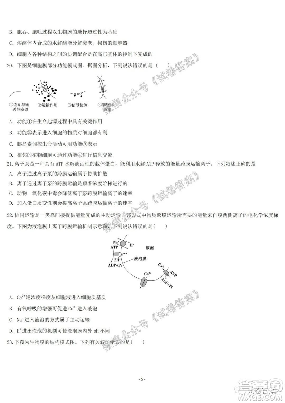 哈爾濱市第六中學2021屆開學階段性總結(jié)高三生物試題及答案