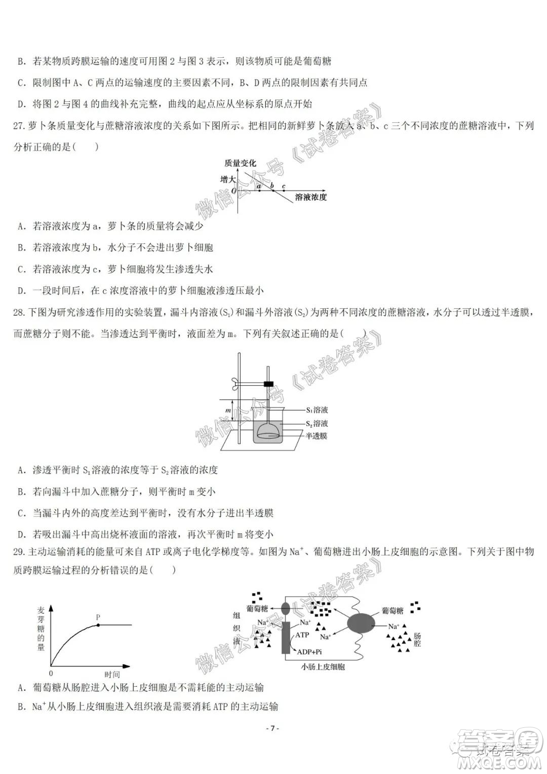 哈爾濱市第六中學2021屆開學階段性總結(jié)高三生物試題及答案