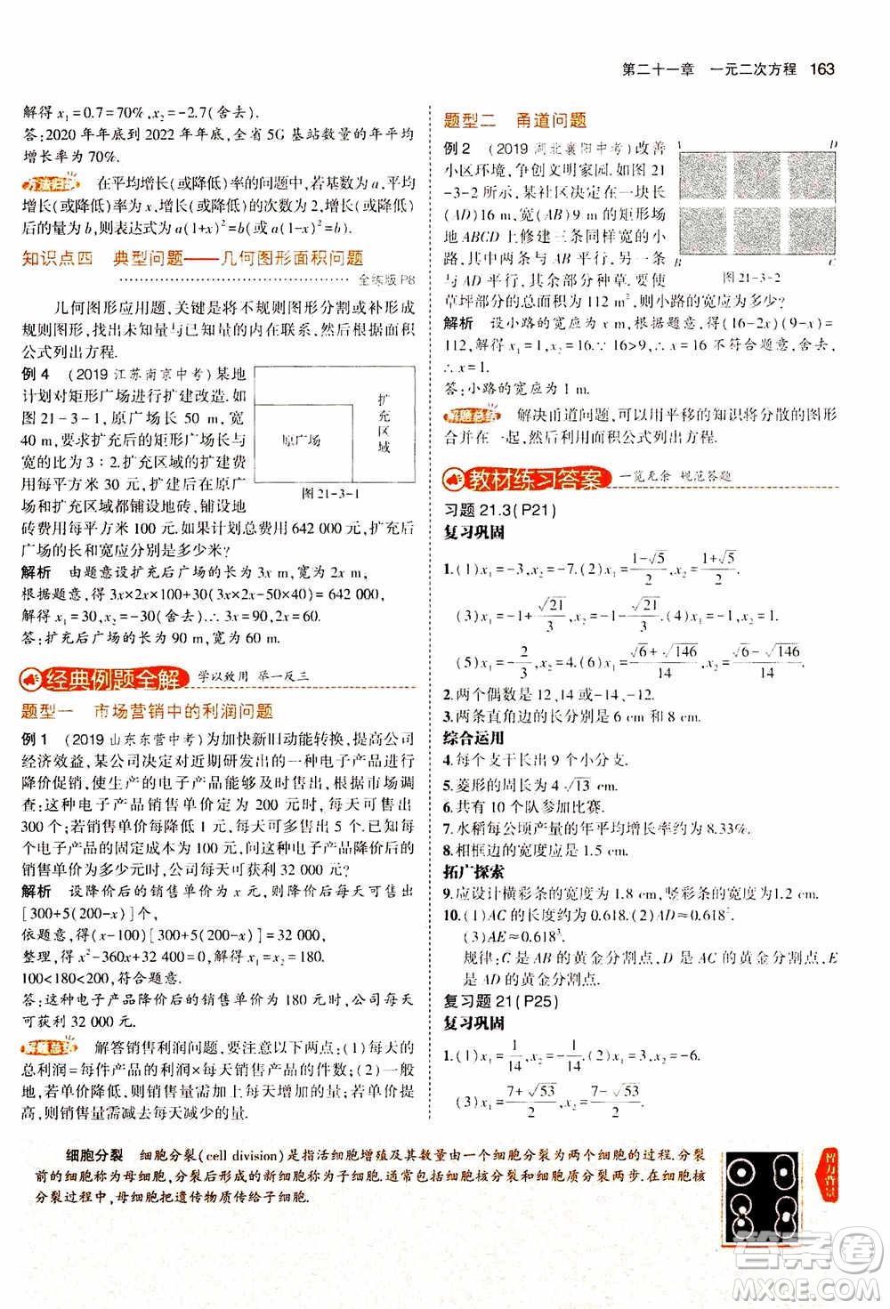 2021版初中同步5年中考3年模擬全解版初中數(shù)學九年級上冊人教版參考答案