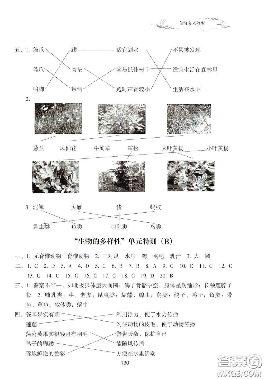 浙江教育出版社2020課時單元期末特訓(xùn)小學(xué)科學(xué)六年級上冊答案