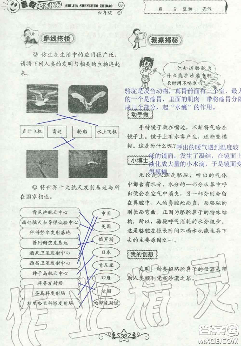 山東教育出版社2020暑假生活指導(dǎo)六年級(jí)通用版答案