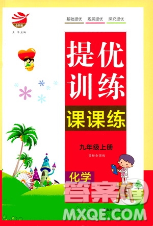 南京大學(xué)出版社2020年提優(yōu)訓(xùn)練課課練九年級上冊化學(xué)國標(biāo)全國版答案