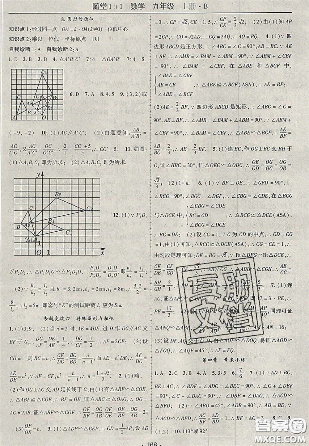 2020年隨堂1加1導練九年級數(shù)學上冊北師大版答案