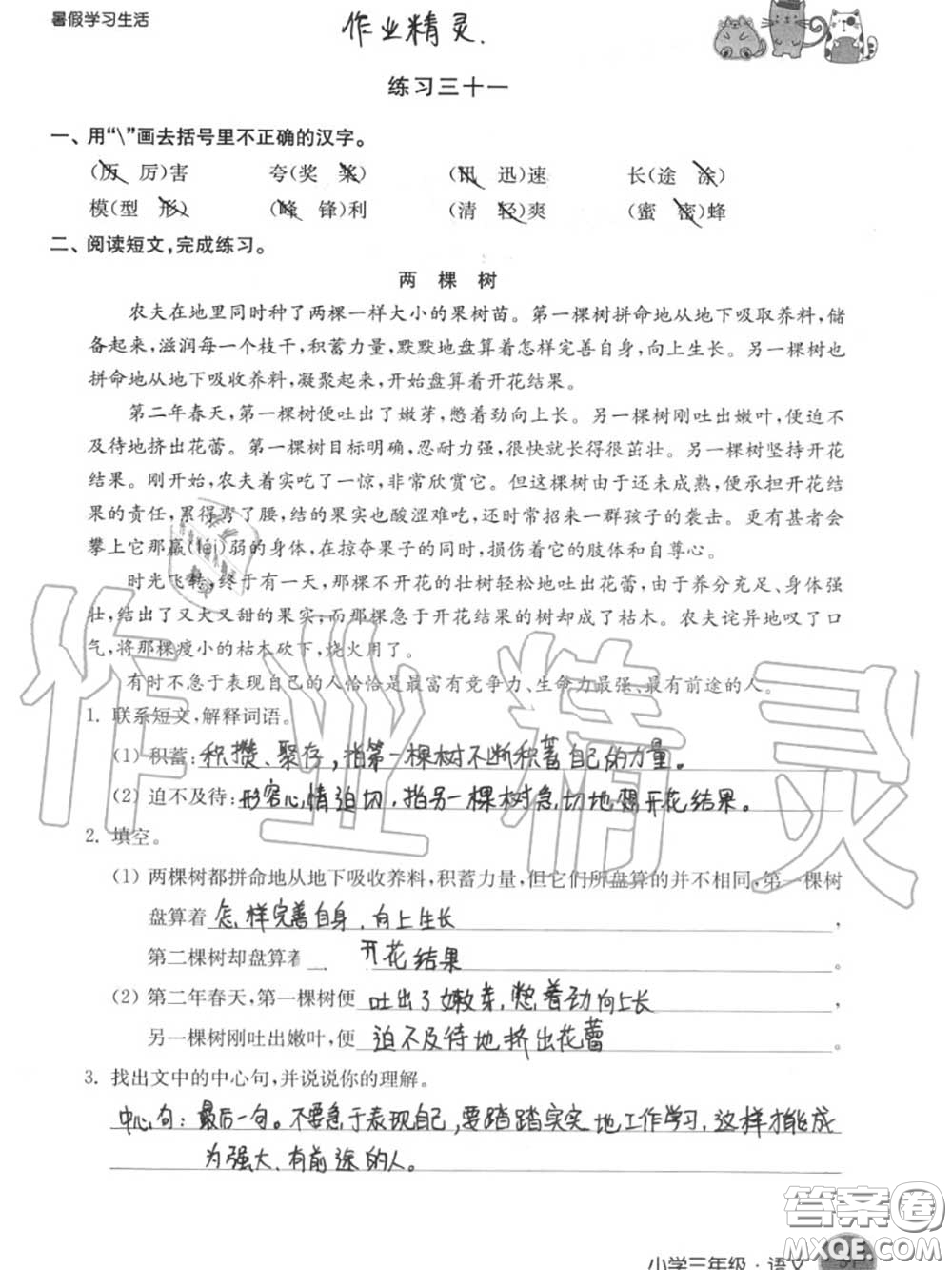 譯林出版社2020年暑假學(xué)習(xí)生活三年級(jí)合訂本通用版答案