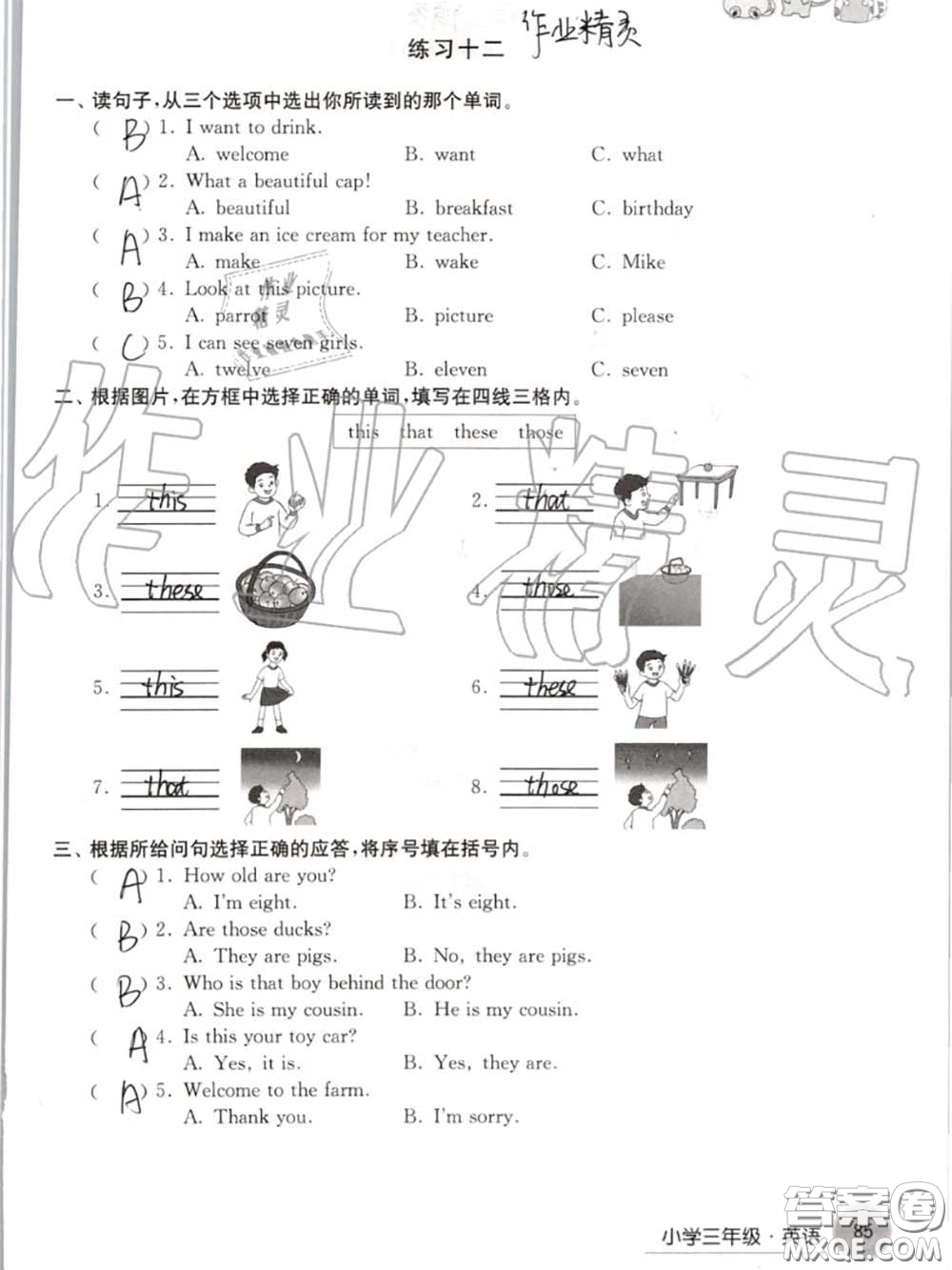 譯林出版社2020年暑假學(xué)習(xí)生活三年級(jí)合訂本通用版答案