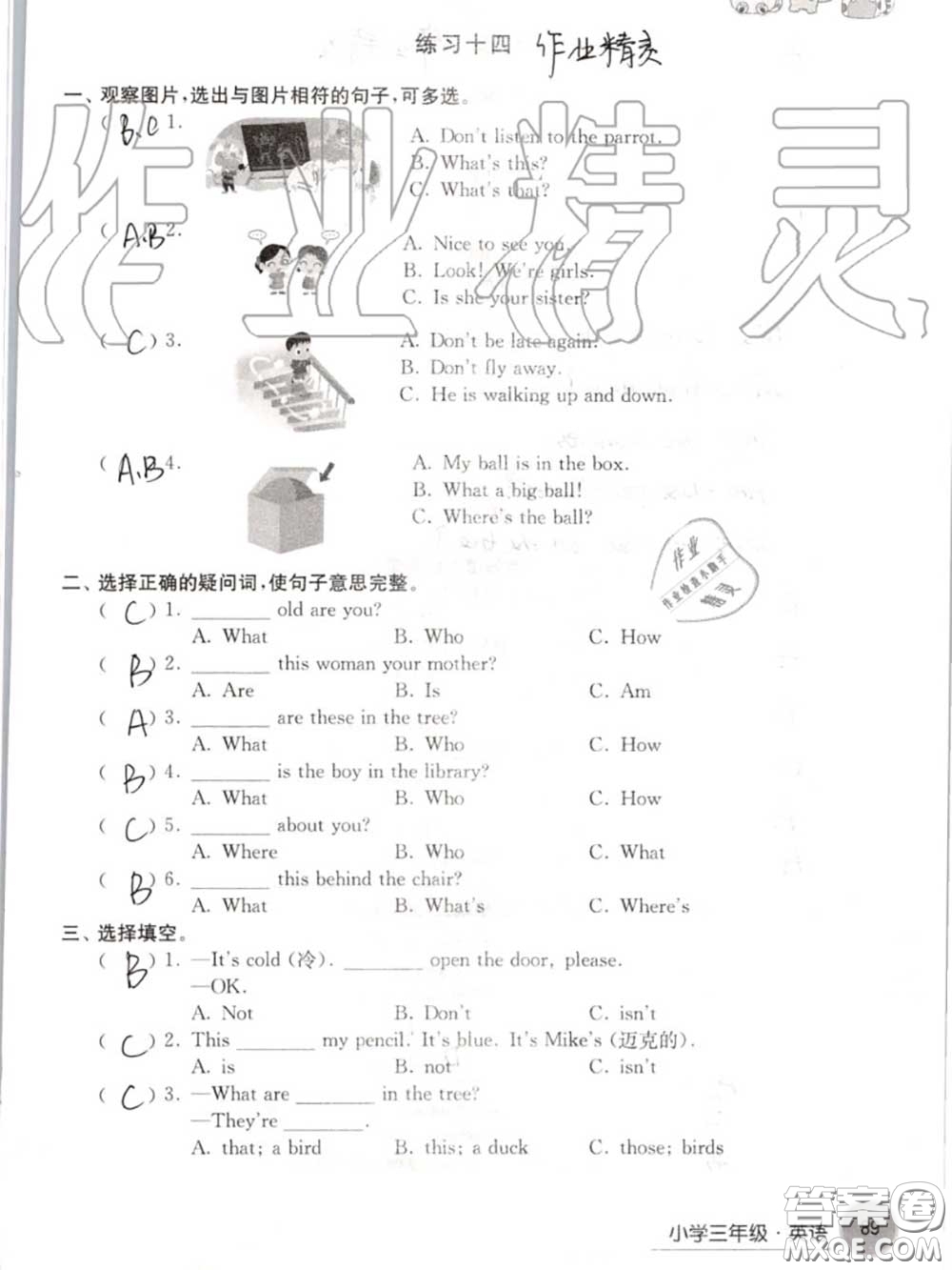 譯林出版社2020年暑假學(xué)習(xí)生活三年級(jí)合訂本通用版答案