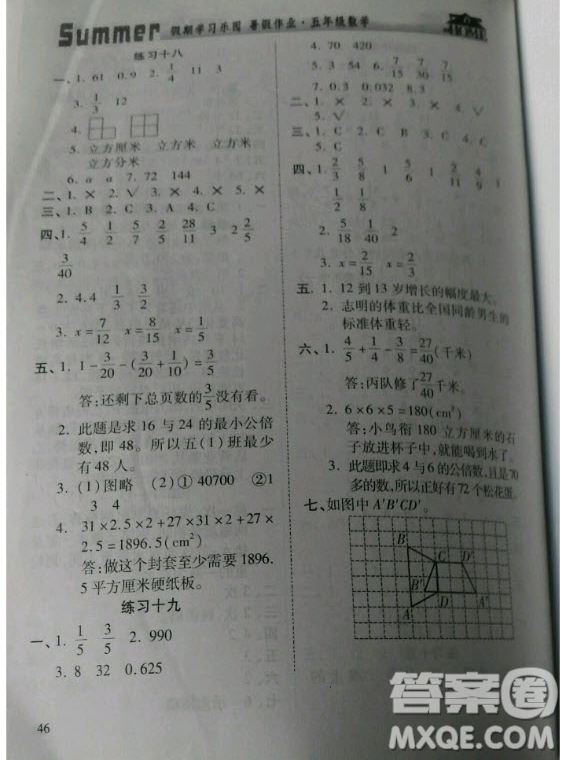 2019年假期學(xué)習(xí)樂(lè)園暑假作業(yè)五年級(jí)數(shù)學(xué)人教版答案