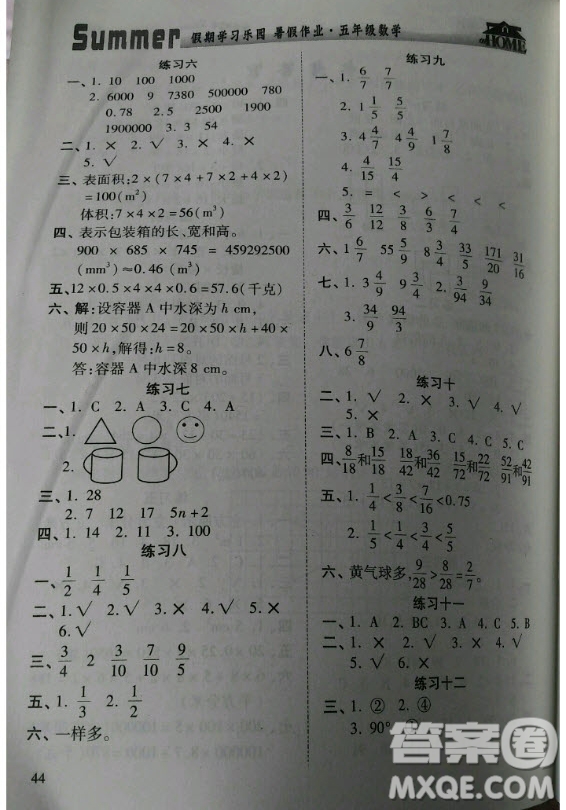 2019年假期學(xué)習(xí)樂(lè)園暑假作業(yè)五年級(jí)數(shù)學(xué)人教版答案