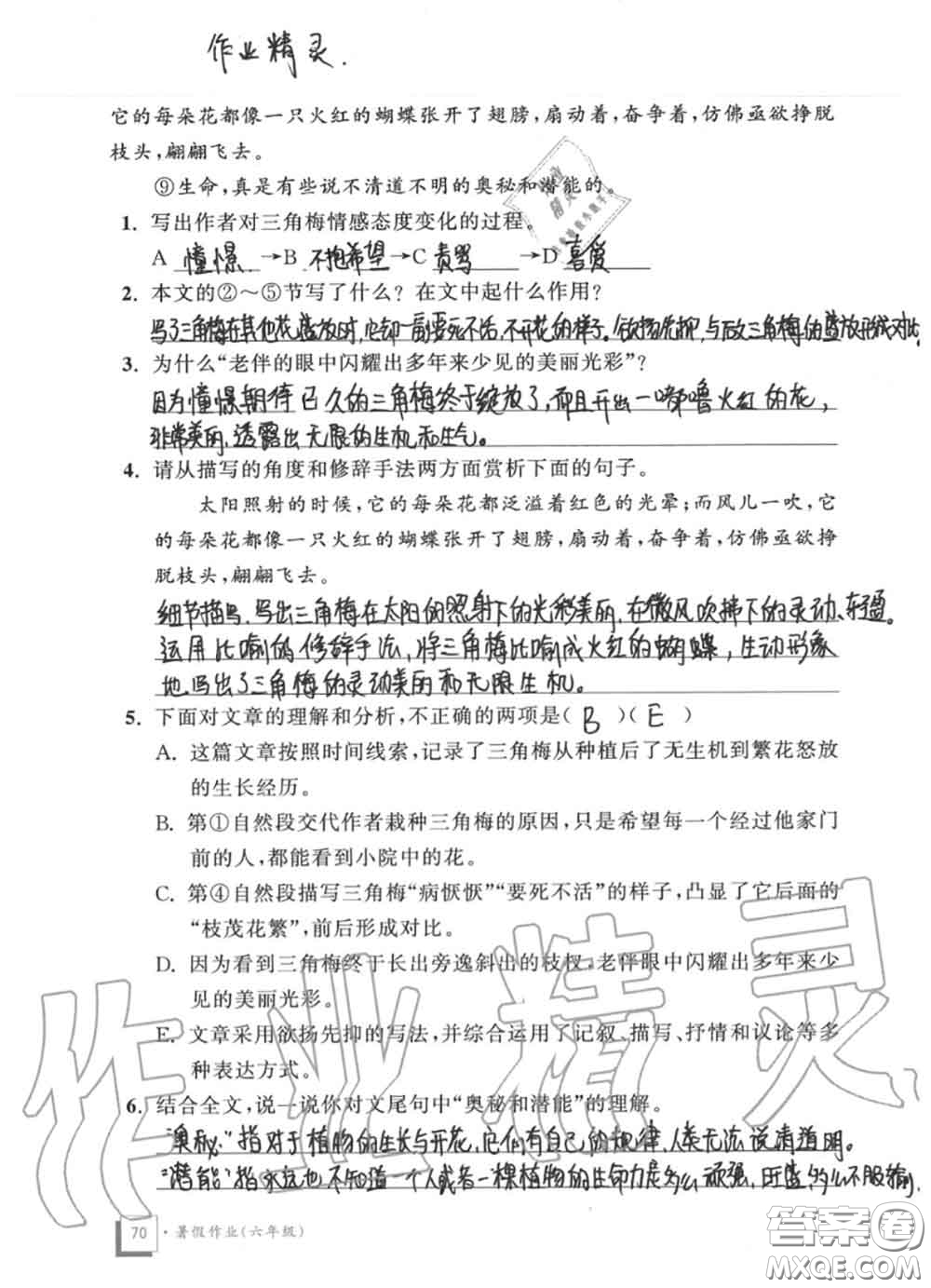 教育科學(xué)出版社2020暑假作業(yè)六年級合訂本通用版參考答案