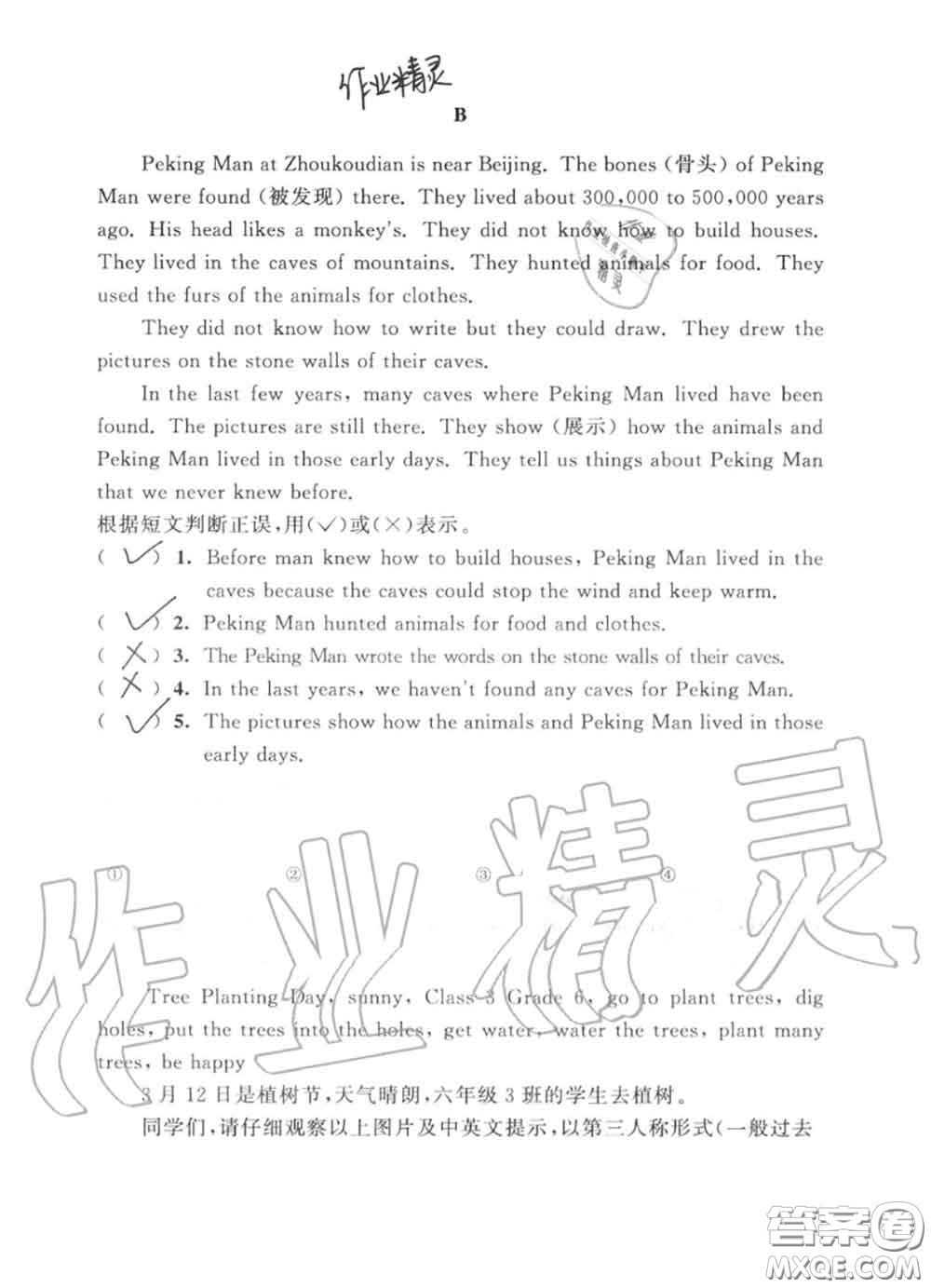 教育科學(xué)出版社2020暑假作業(yè)六年級合訂本通用版參考答案