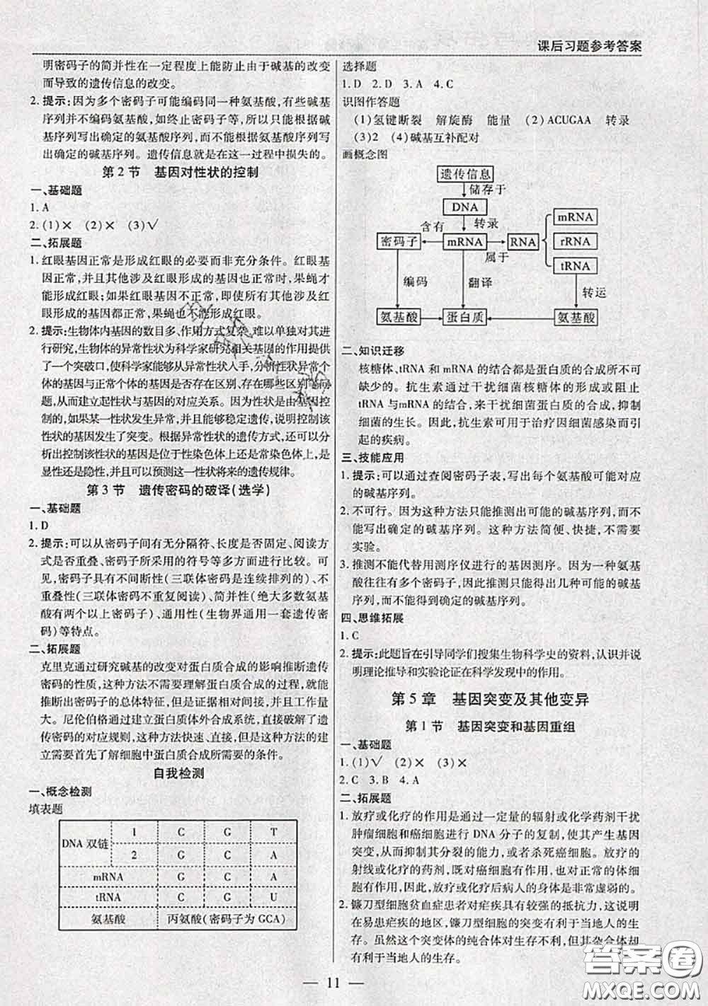 人民教育出版社2021年課本教材高中生物必修2人教版參考答案