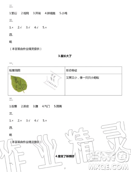 教育科學(xué)出版社2020年暑假作業(yè)三年級(jí)科學(xué)教科版答案