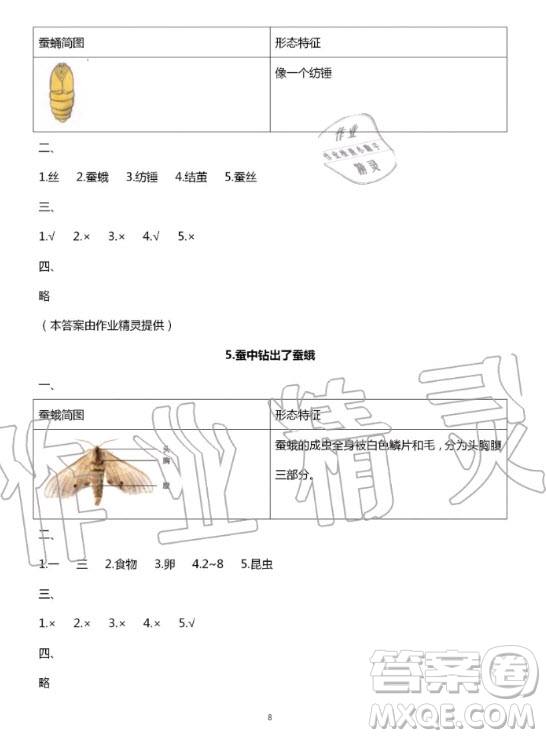 教育科學(xué)出版社2020年暑假作業(yè)三年級(jí)科學(xué)教科版答案