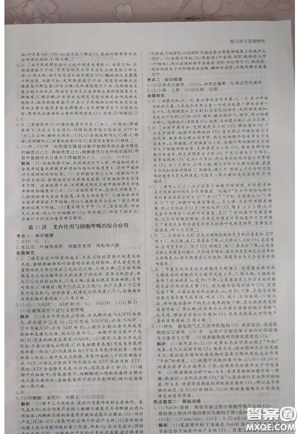 黑龍江教育出版社2020年步步高大一輪復習講義生物答案