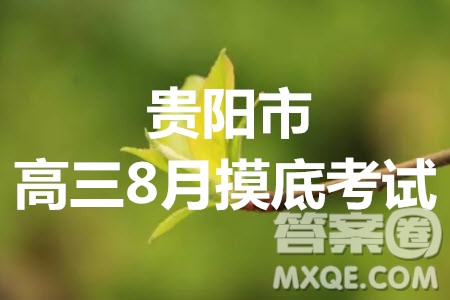 貴陽市普通高中2021屆高三年級8月摸底考試理科數(shù)學試題及答案