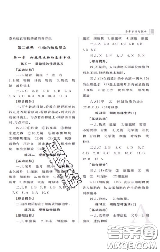 陜西師范大學(xué)出版總社2020課堂練習(xí)冊七年級生物學(xué)上冊A版答案