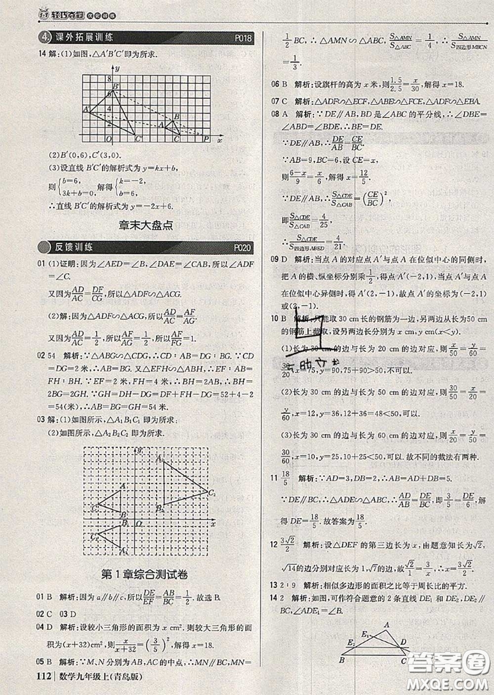 2020年秋1加1輕巧奪冠優(yōu)化訓(xùn)練九年級(jí)數(shù)學(xué)上冊(cè)青島版參考答案