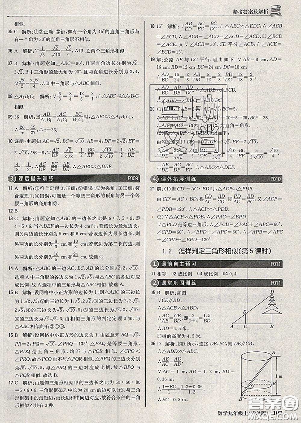 2020年秋1加1輕巧奪冠優(yōu)化訓(xùn)練九年級(jí)數(shù)學(xué)上冊(cè)青島版參考答案