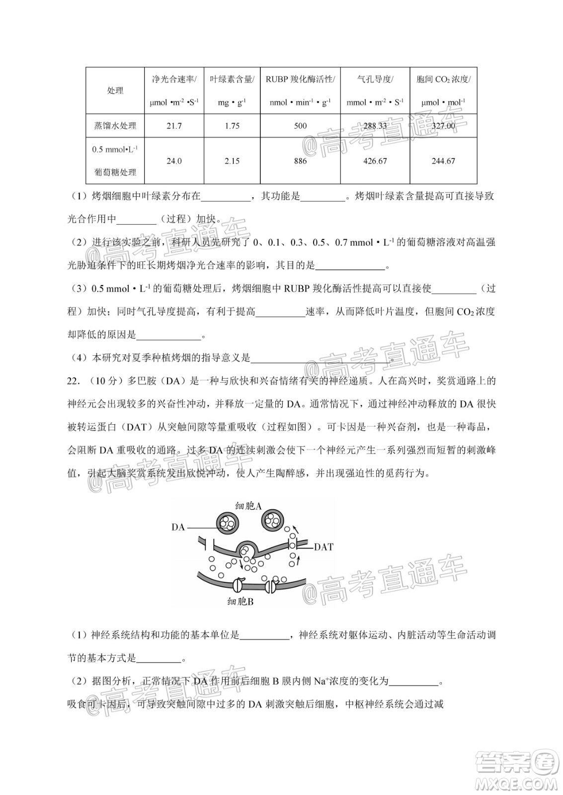 2021屆江蘇省啟東中學(xué)高三期初考試生物試卷及答案