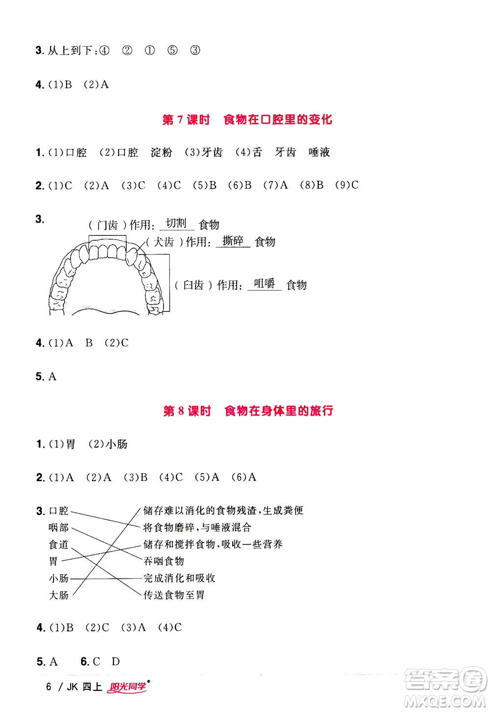 2020年陽光同學課時優(yōu)化作業(yè)科學四年級上冊JK教科版答案