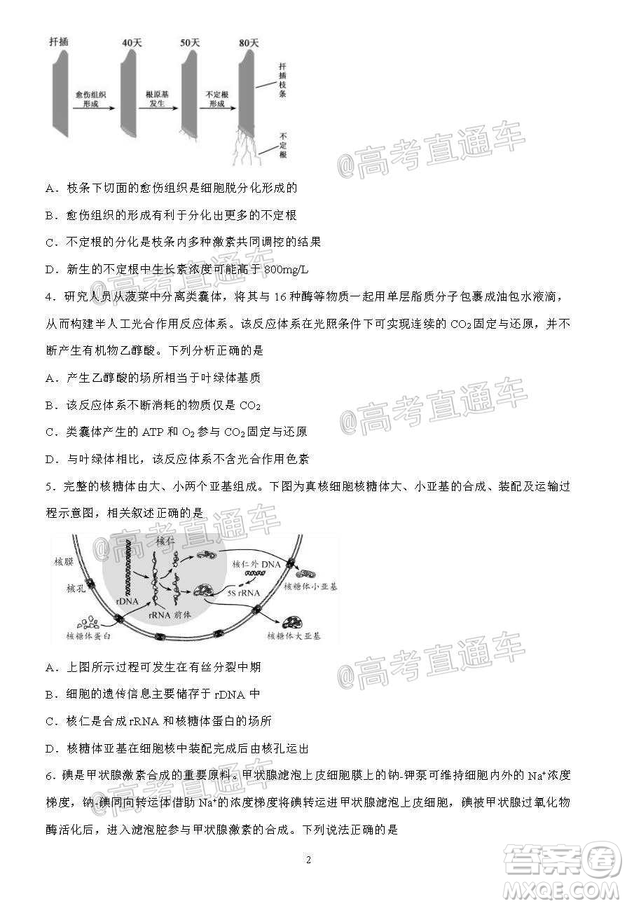 2020年秋四川省棠湖中學(xué)高三開(kāi)學(xué)考試文理科綜合試題及答案