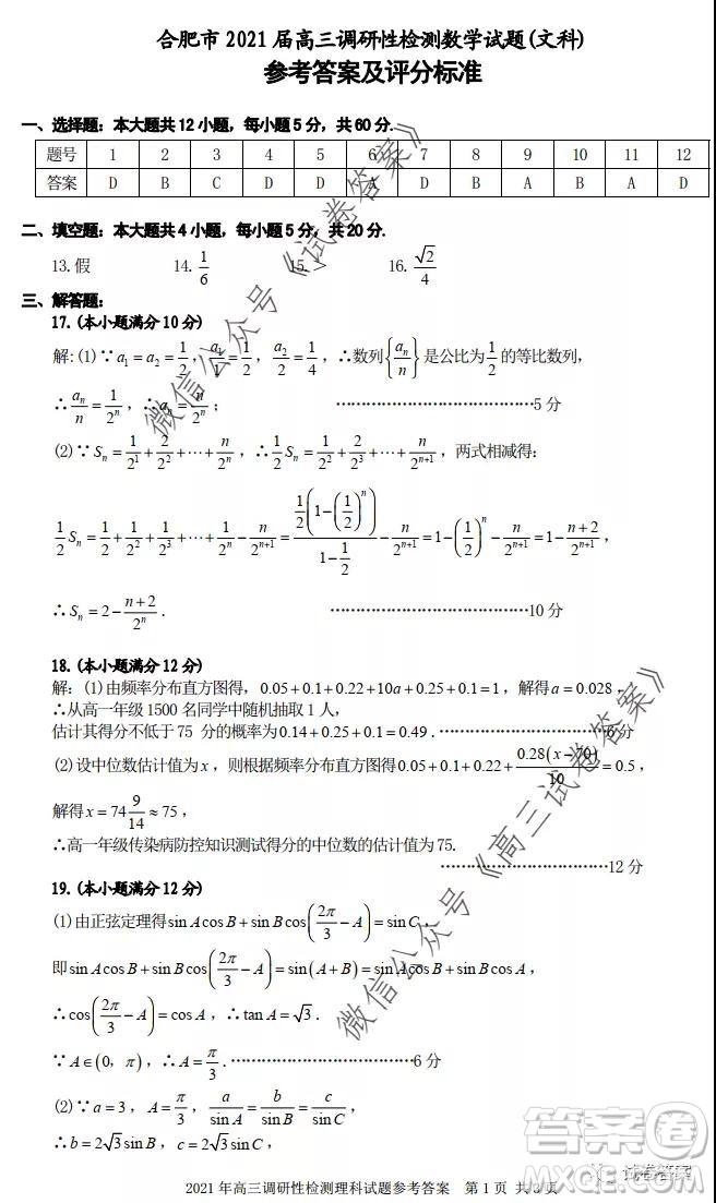 合肥市2021屆高三調研性檢測文科數(shù)學試題及答案