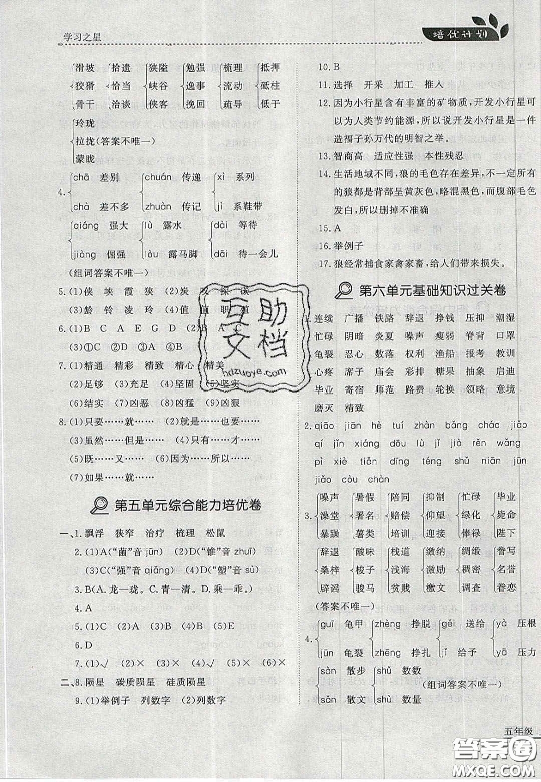 2020年學(xué)習(xí)之星培優(yōu)計(jì)劃五年級(jí)語(yǔ)文上冊(cè)人教版答案