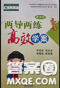 2020年新課標(biāo)兩導(dǎo)兩練高效學(xué)啊六年級語文上冊人教版答案