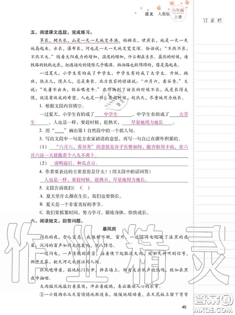 2020年秋同步指導(dǎo)訓(xùn)練與檢測(cè)六年級(jí)語(yǔ)文上冊(cè)人教版參考答案