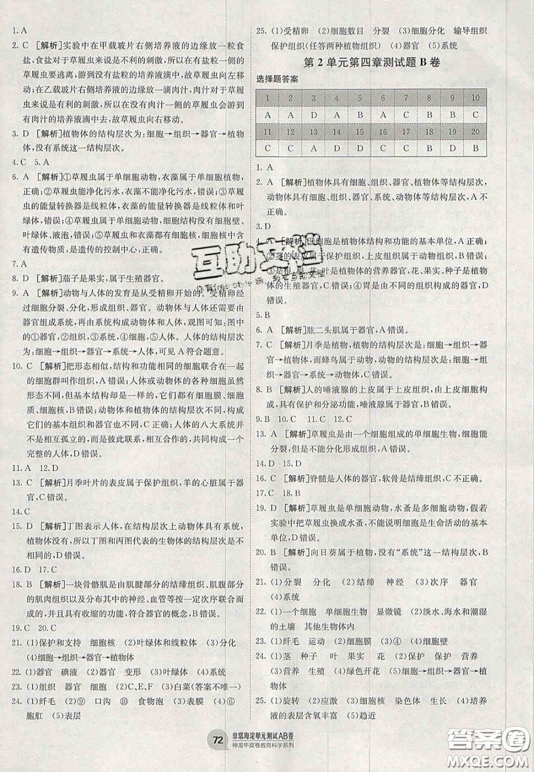 神農(nóng)牛皮卷2020秋非常海淀單元測試AB卷七年級生物上冊蘇教版答案