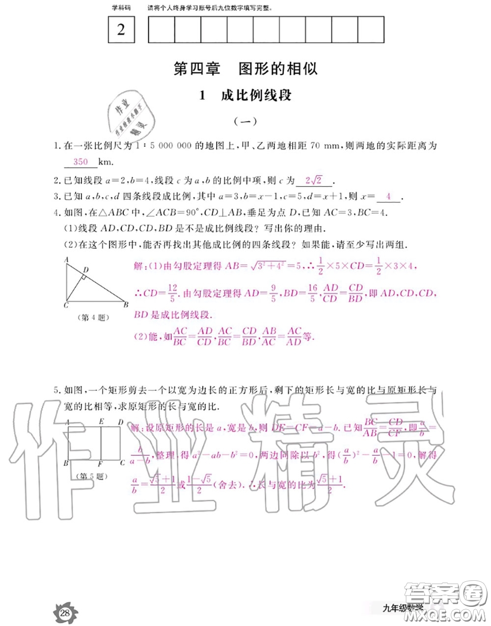 江西教育出版社2020年數(shù)學(xué)作業(yè)本九年級全一冊北師版答案