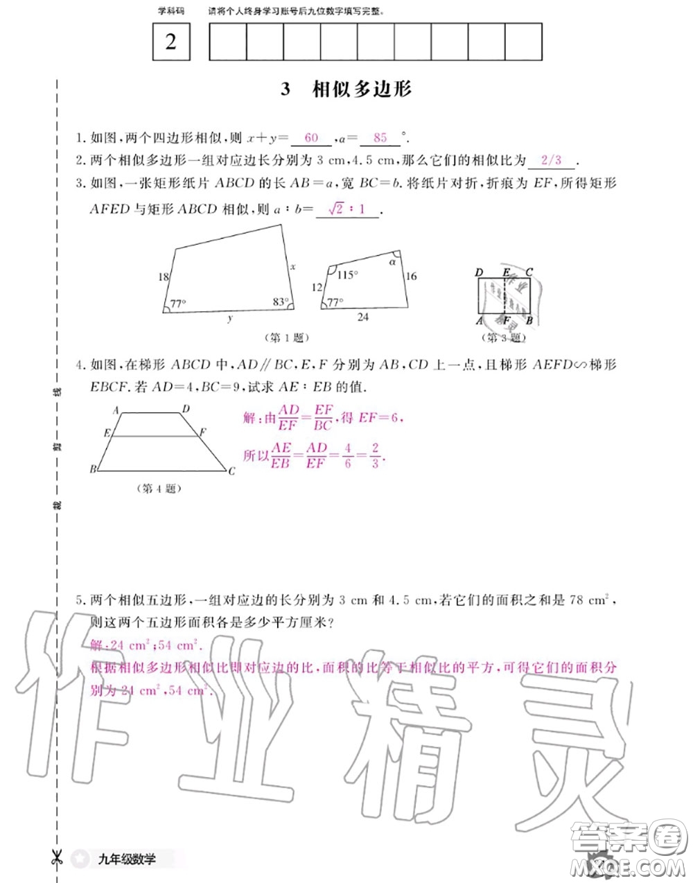 江西教育出版社2020年數(shù)學(xué)作業(yè)本九年級全一冊北師版答案