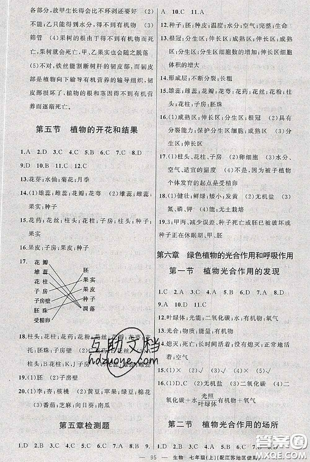 新疆青少年出版社2020秋原創(chuàng)新課堂七年級生物上冊江蘇版答案