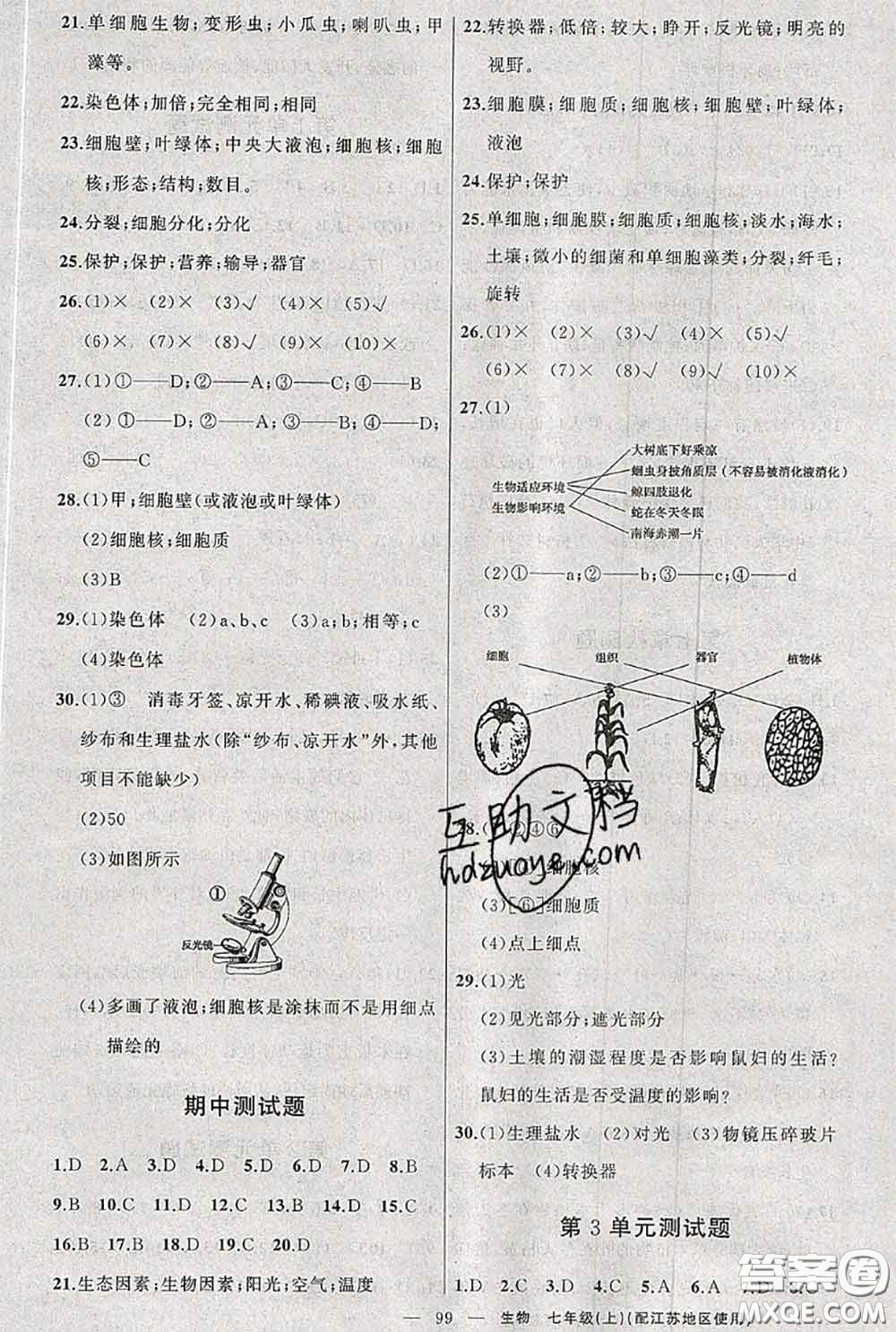 新疆青少年出版社2020秋原創(chuàng)新課堂七年級生物上冊江蘇版答案