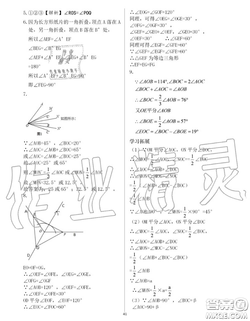 大象出版社2020年基礎(chǔ)訓(xùn)練七年級數(shù)學(xué)上冊人教版參考答案